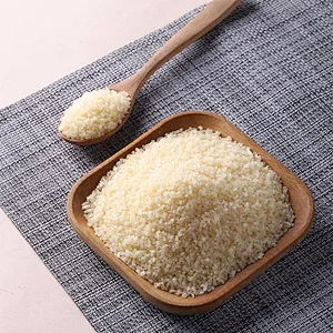 Halal Food Additives High Quality Good Price for Food CAS 9000-70-8 gelatin